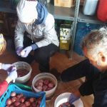 Chios, Refugee relief work – November16, 2016-1